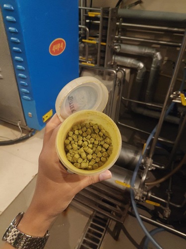 Flavored Hop Pellets Flavored Hop Pellets