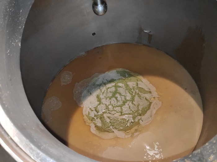 Trub (Hop Debris) left in the whirlpool Trub (Hop Debris) left in the whirlpool